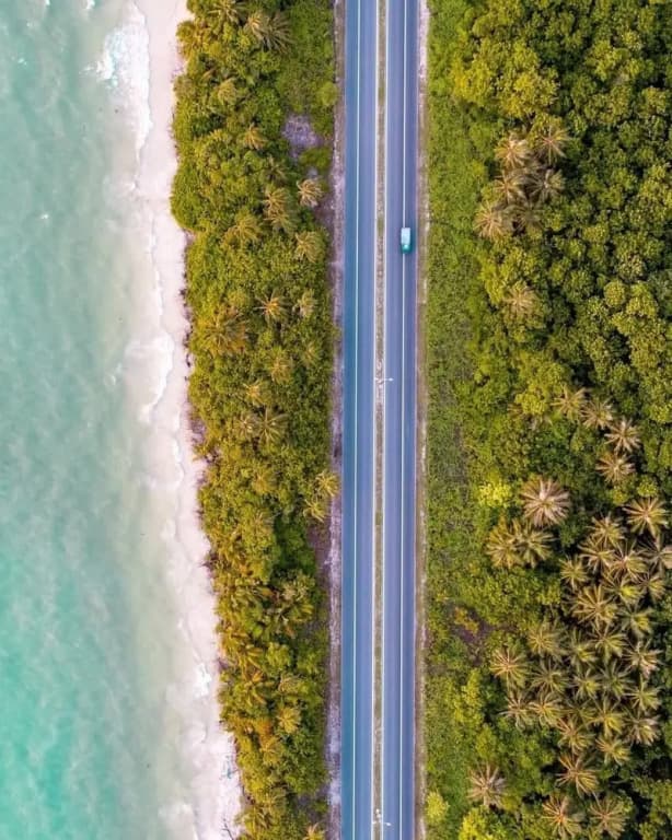 LongBeach Laamu - photo 38