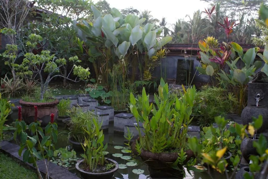 Rumah Sungai Villa - photo 2