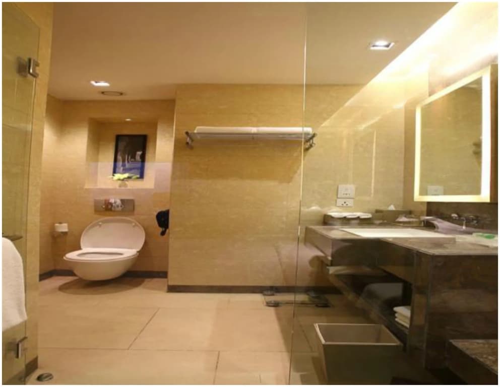 Crowne Plaza New Delhi Mayur Vihar Noida by IHG - photo 9