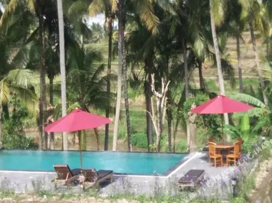Arjana Bungalows Rice Field - photo 4