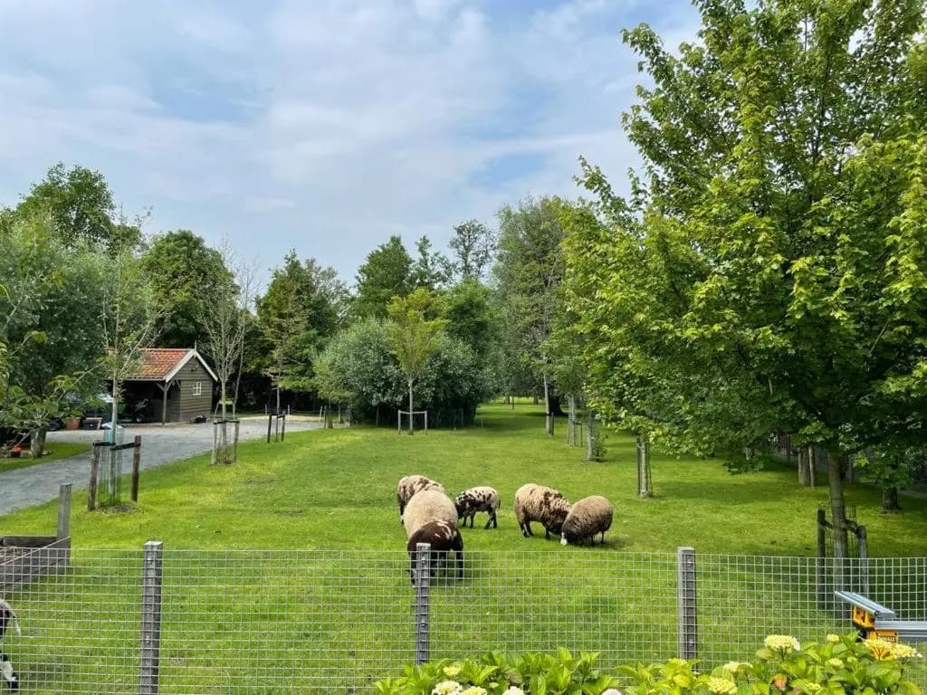 Flora’s B&B - photo 16