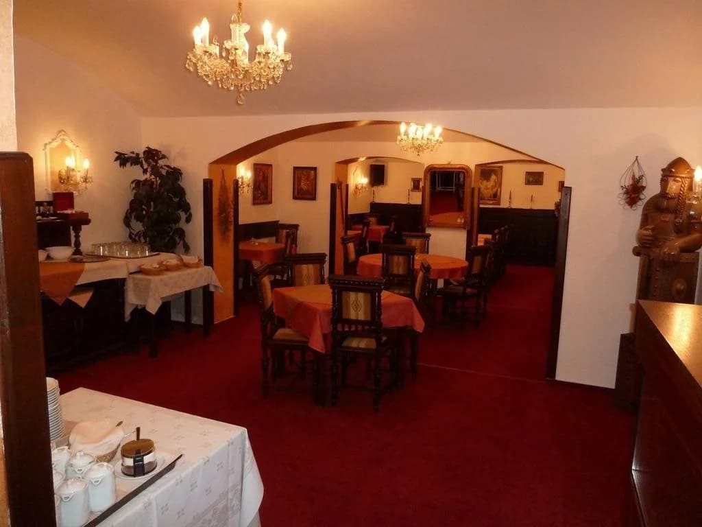 Vysehrad Hotel - photo 15