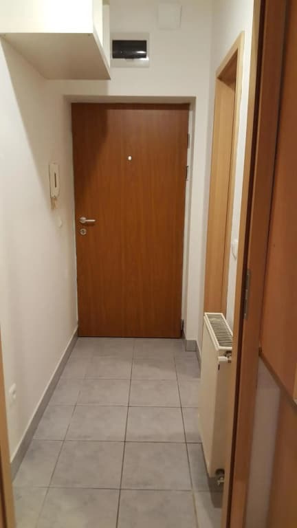 Nepliget Apartment - photo 11