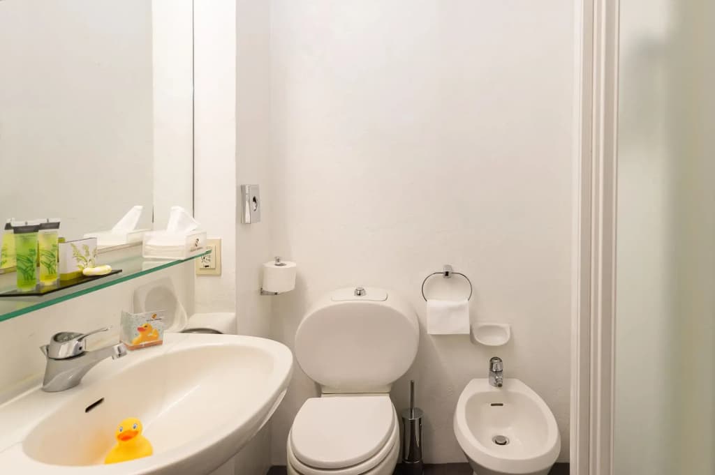 Hotel Berna - photo 8