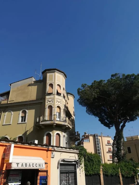 Vive Roma! - photo 11