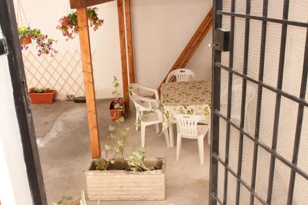 Dandi Domus - photo 15