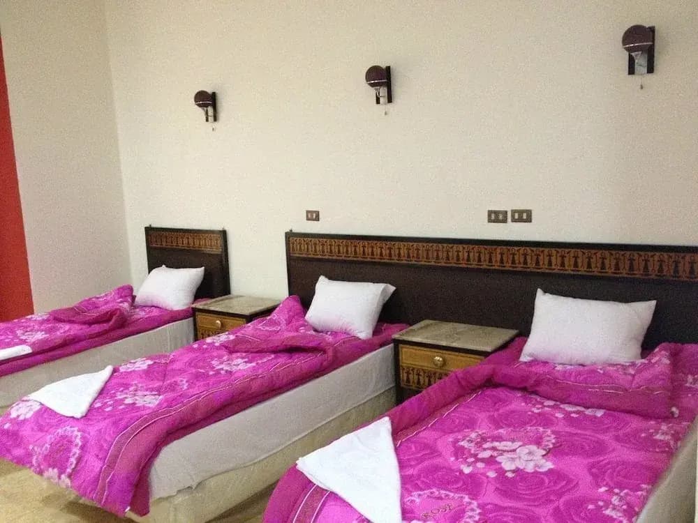 Regent House - Hostel - photo 3