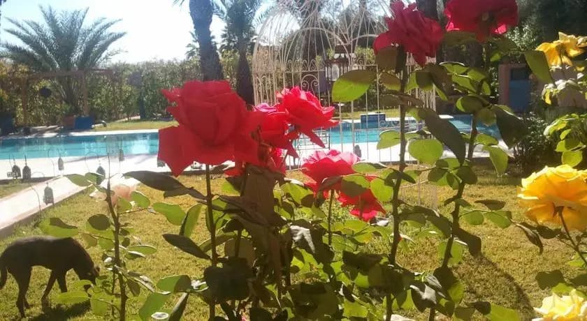 Samadia Retreat - photo 9