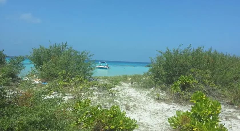 Naifaru Nafaa Inn - photo 6