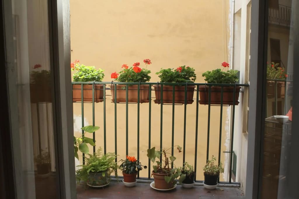 Affittacamere Mannolini - photo 17