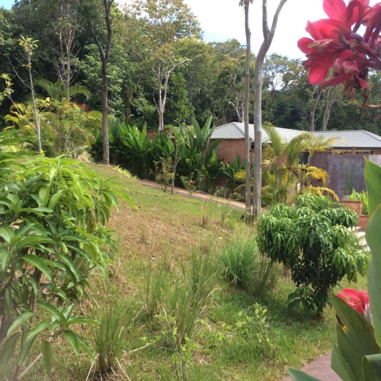 Villa Nova - photo 12