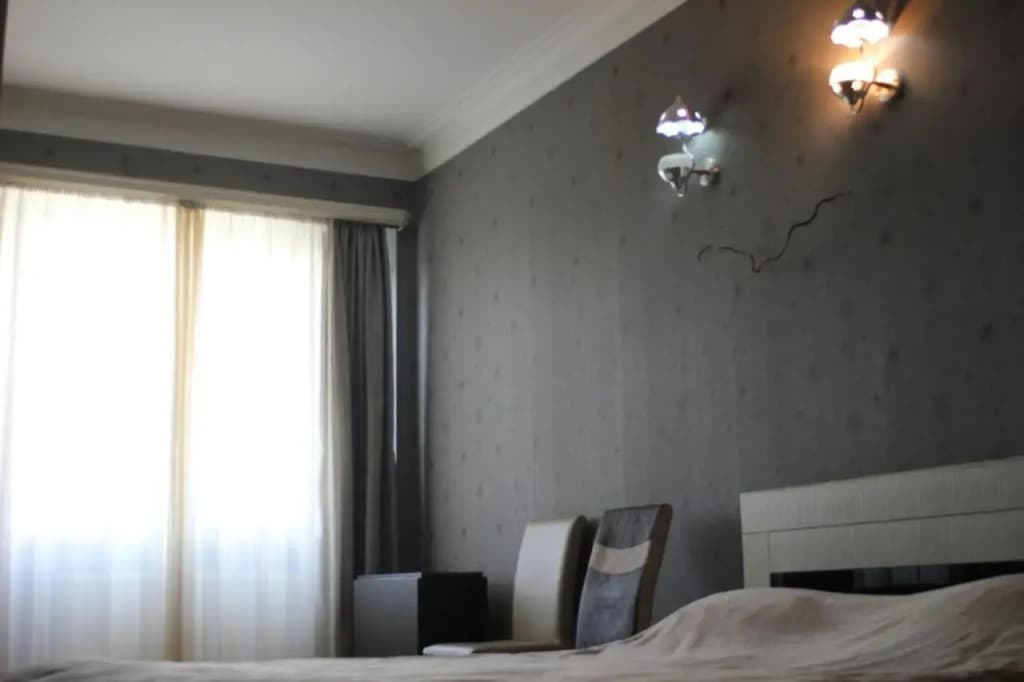 Guest House Ani - photo 4