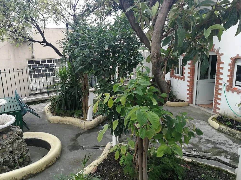 Mana Guest House - photo 13