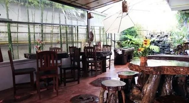 Le Viengping - photo 20