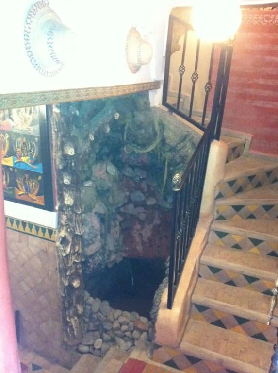 Riad Tarik - photo 17