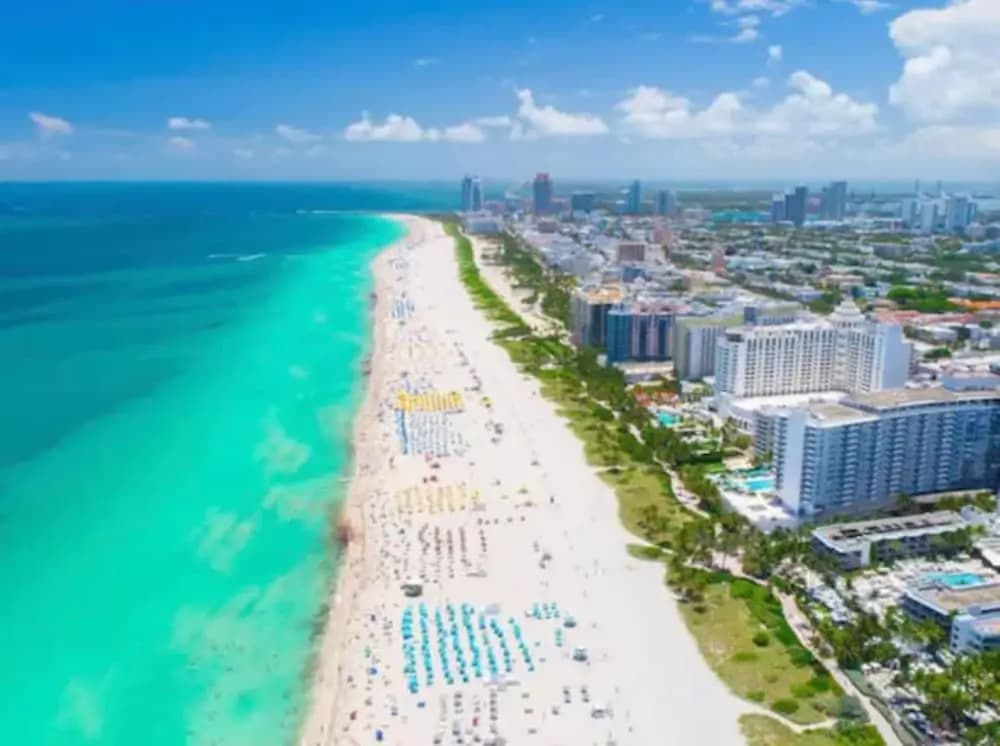Miami Suite 306 - photo 11