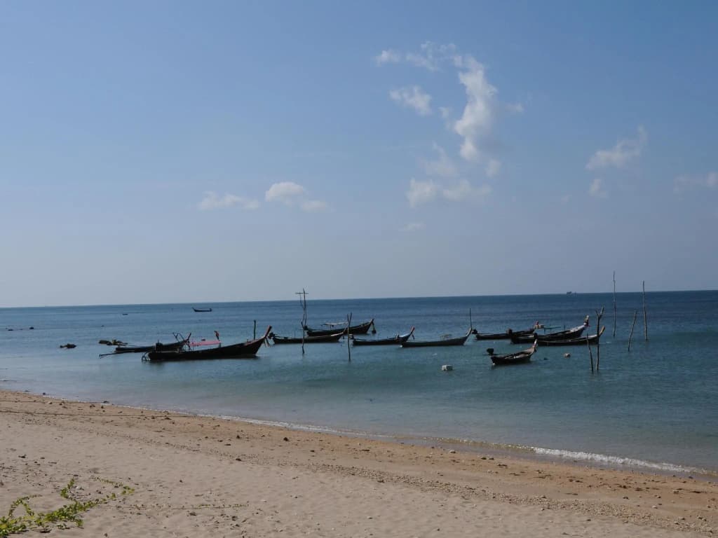 Lanta Wild Beach Resort - photo 22
