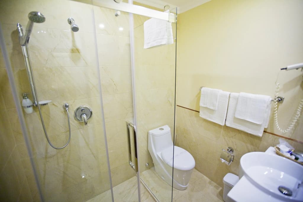 Gold Hotel Budapest - photo 8