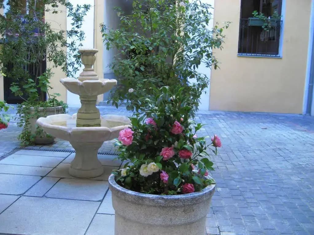 Hostal Huespedes Toledo - photo 12