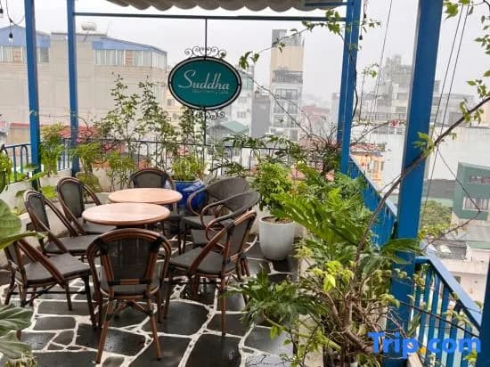 Suddha Boutique Hotel - photo 9