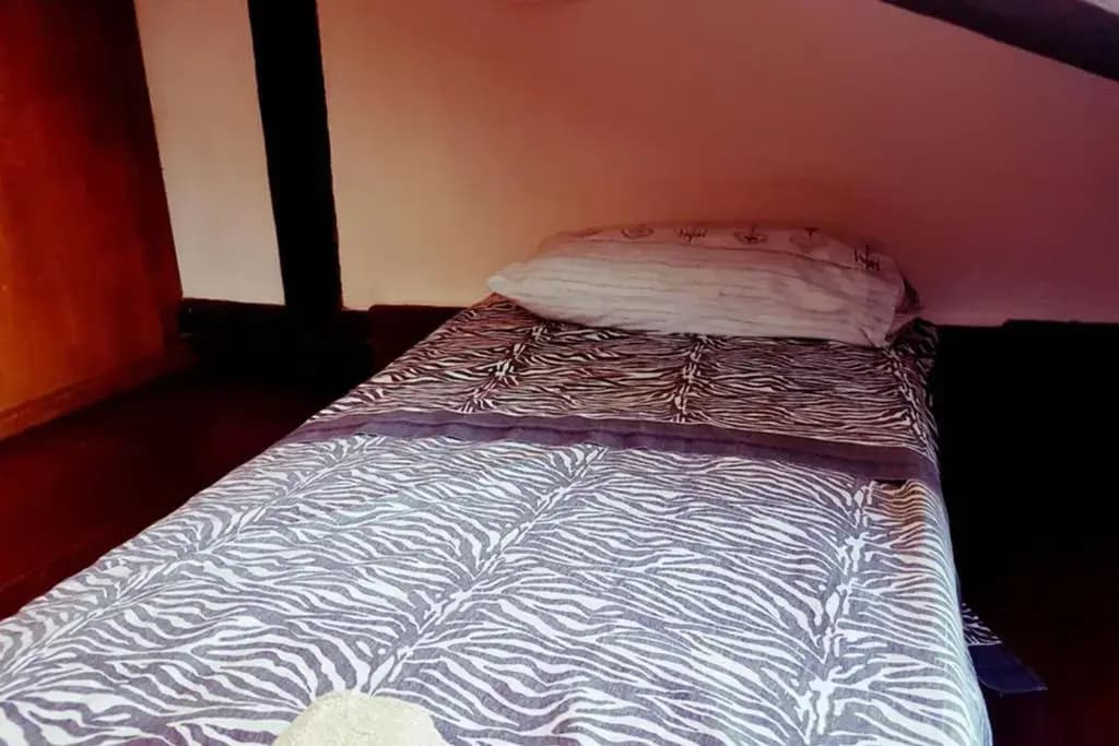 Large Top 3 Rooms Flat Central Rialto - photo 5