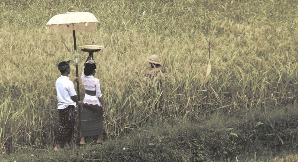 Kishi-Kishi Suites Ubud by EPS - photo 9