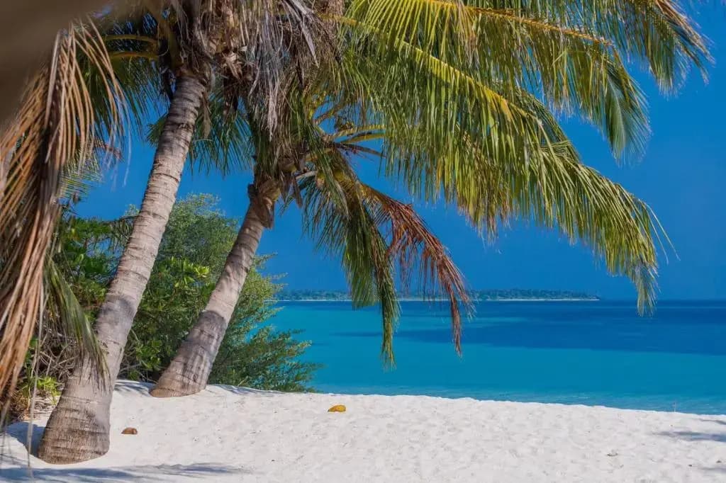 Fehendhoo Stay - photo 4