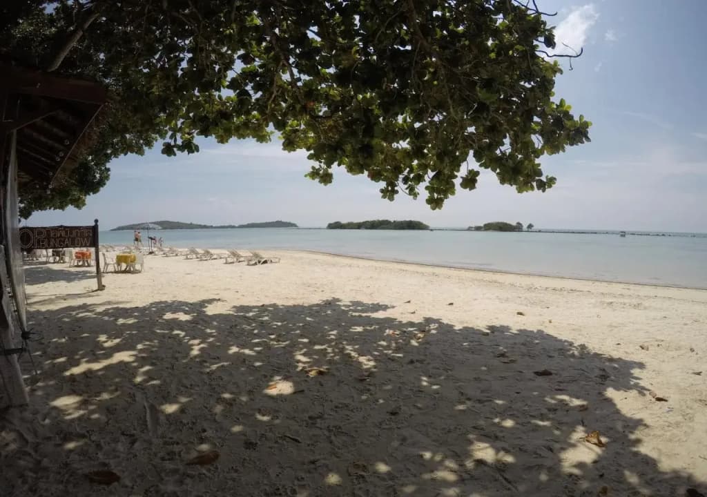 O.P. Bungalow - photo 11