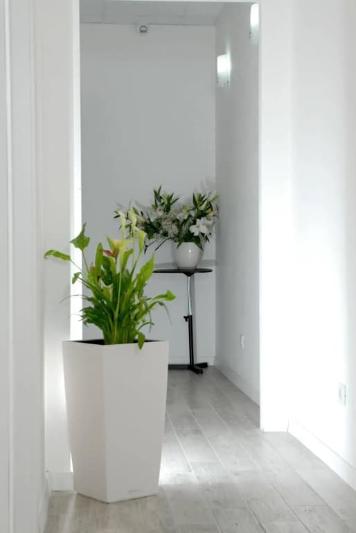 Gardenia Suite - photo 14