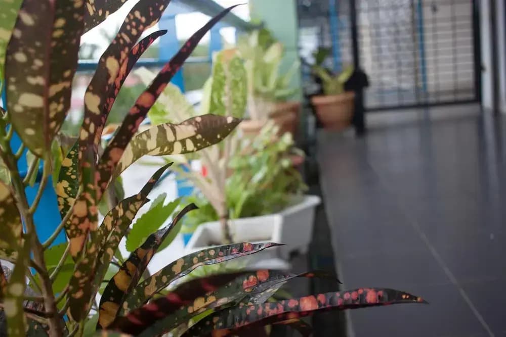 Tempo - Hostel - photo 14