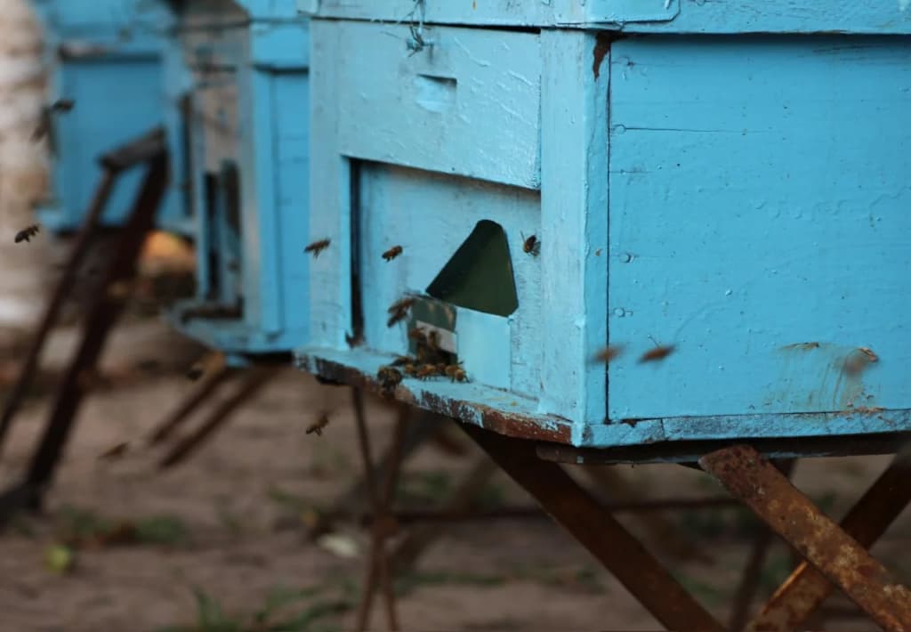 Pepper Farm Phu Quoc Bungalow - photo 8