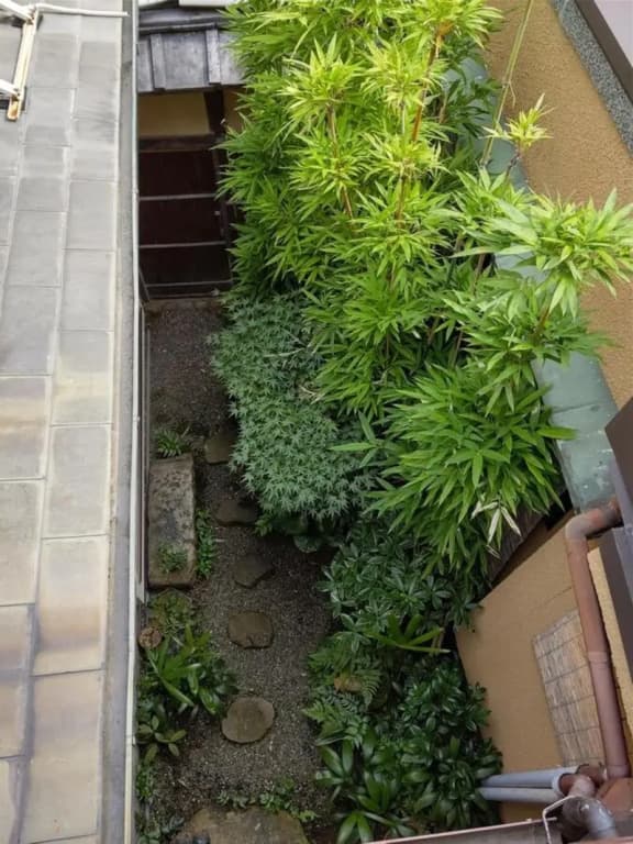 Ryokan Nakajimaya - photo 25