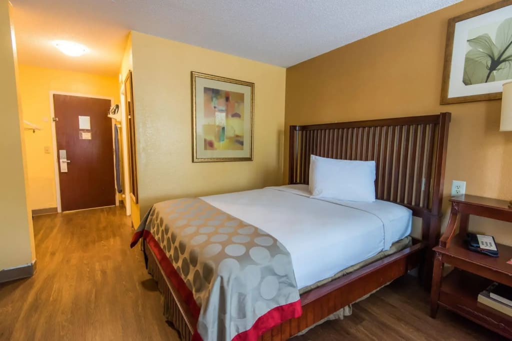B&B Hotel Orlando International Drive Near Universal - Newly Renovated! - photo 4