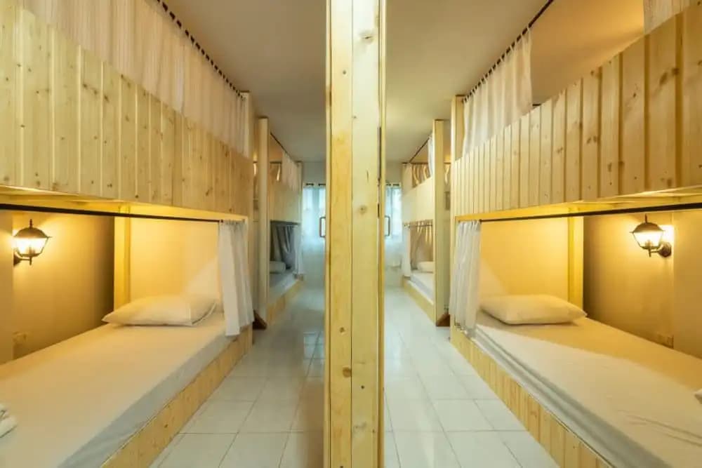 Sleepcats Hostel - photo 13
