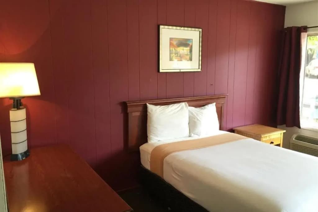 Holiday Lodge - photo 4