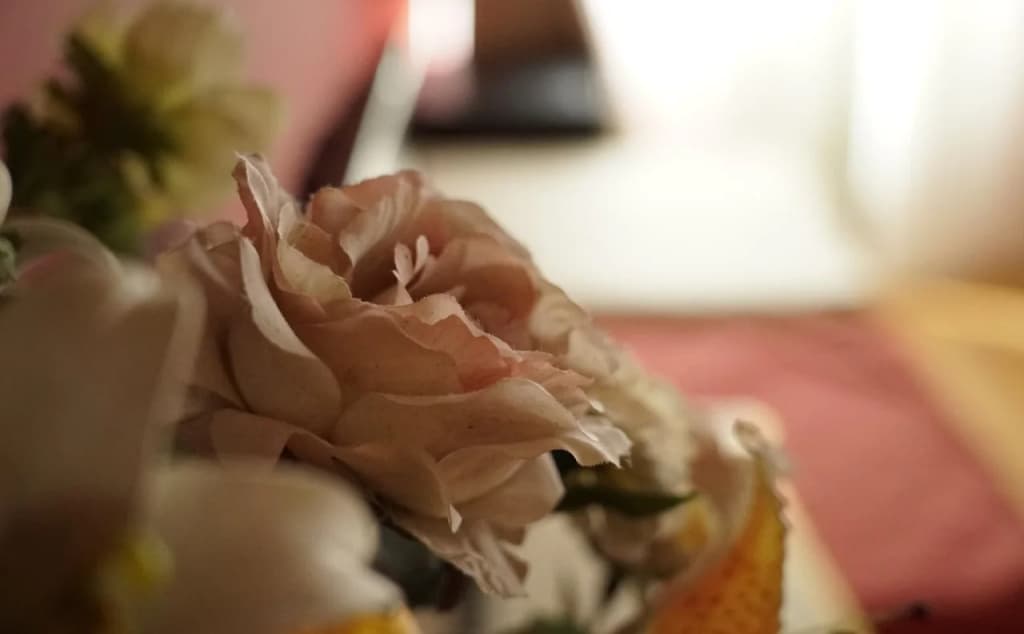 Hotel Il Granduca - photo 29