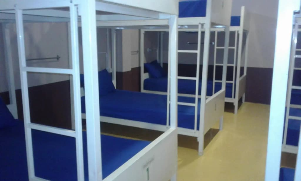 Treechart Hostel - photo 12