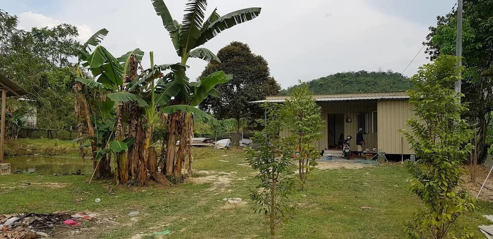 Riverside Lodge Desa Putra - main photo