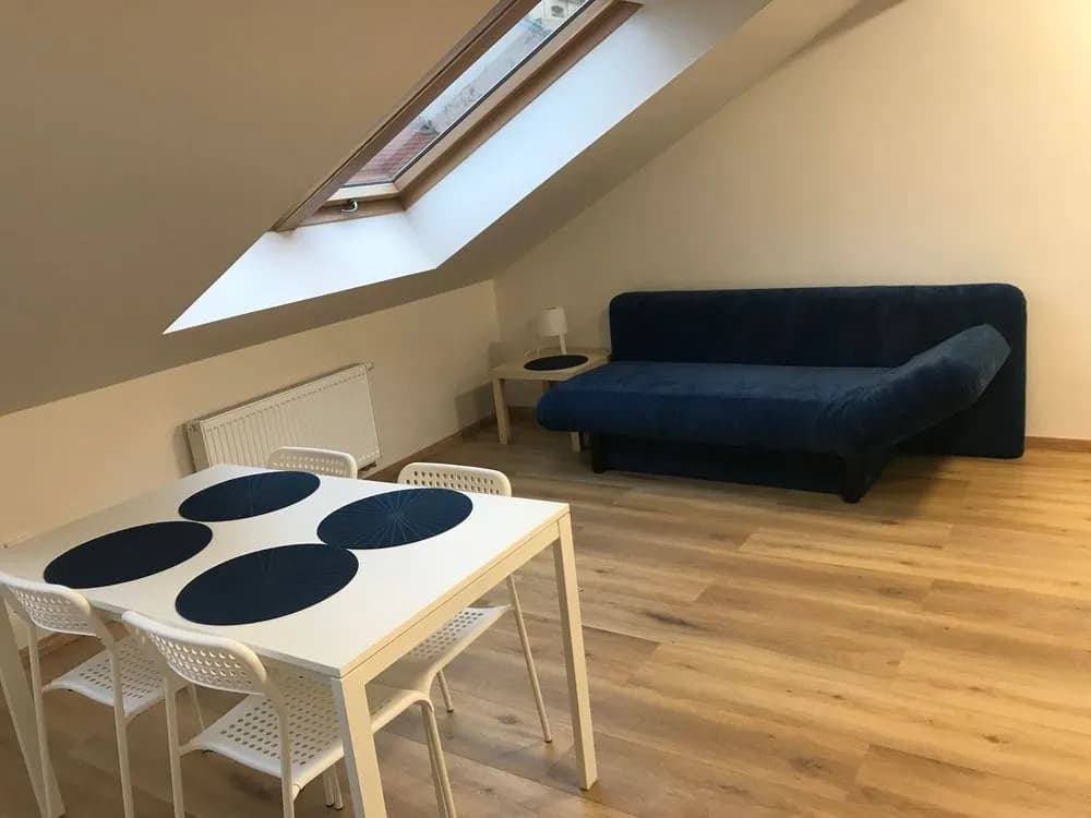Blahnikova Apartments - photo 10