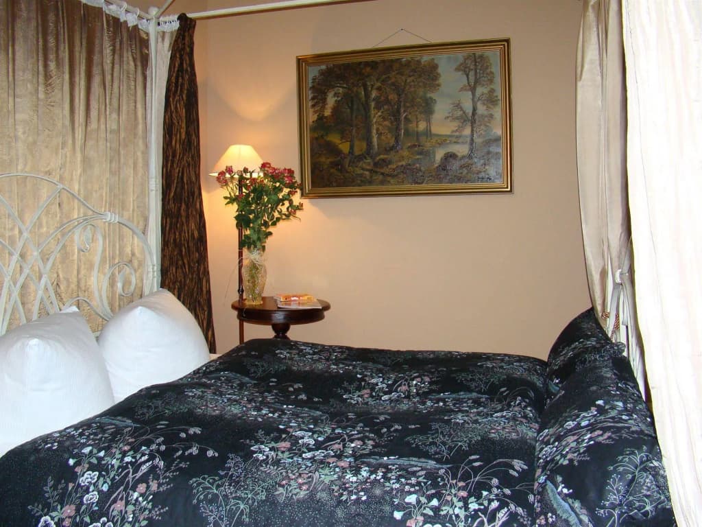 Alte Galerie Hotel - photo 2