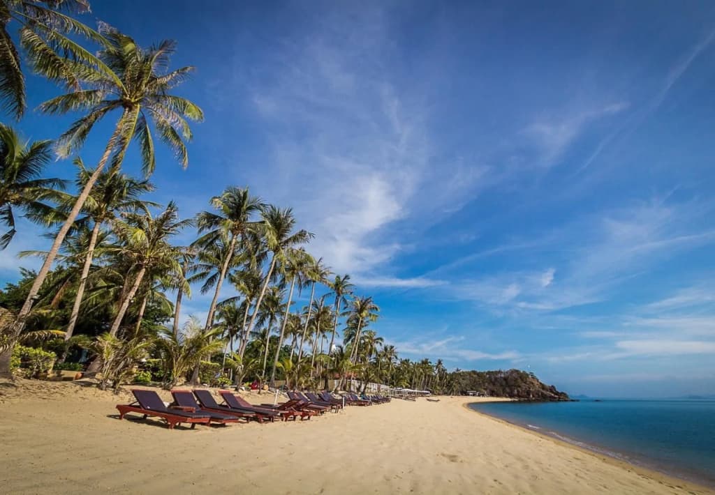 Coco Palm Beach Resort - photo 21