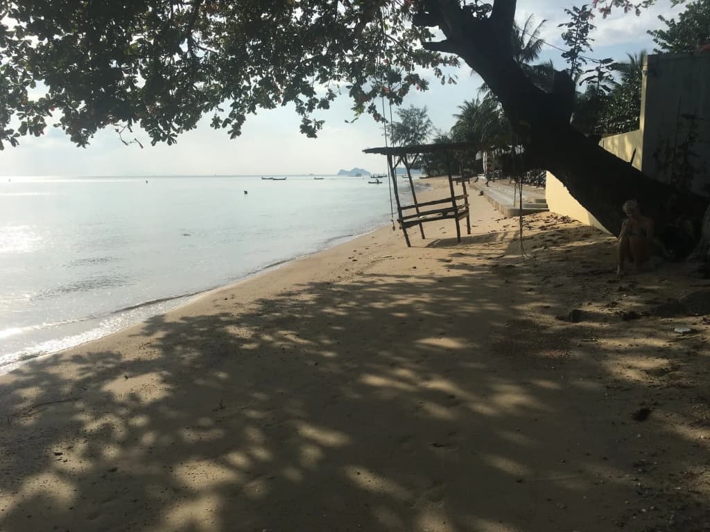Blue Lotus Resort - photo 12