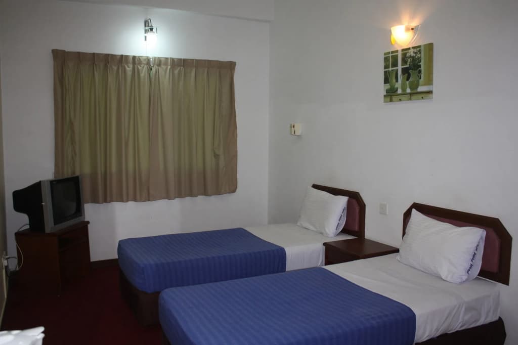 Lipis Plaza Hotel - photo 4