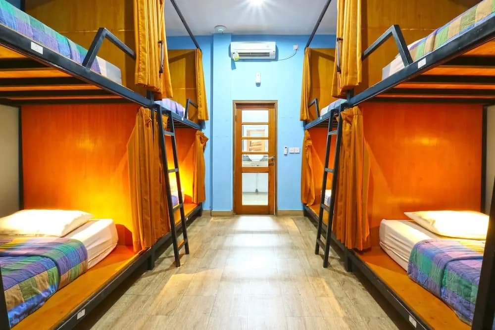 New Ubud Hostel - photo 3