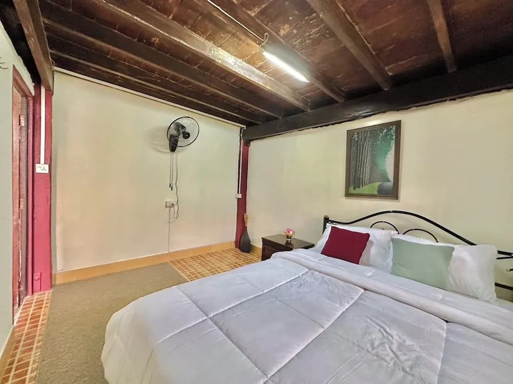 Cozy nest CNX - photo 4