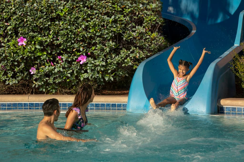 Hilton Orlando - photo 45