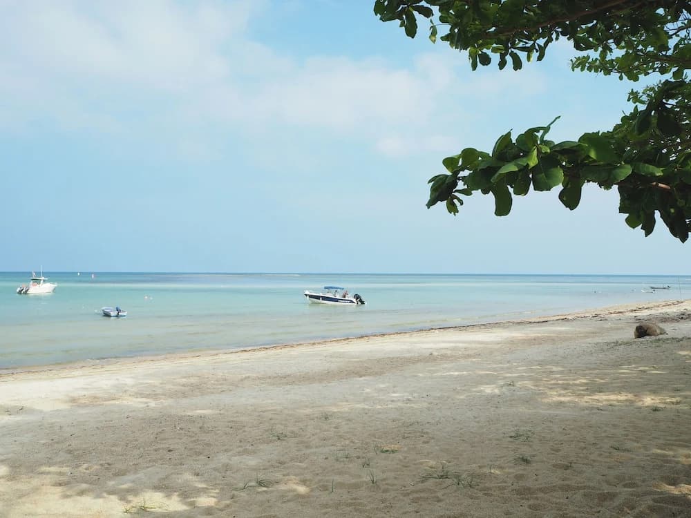 Grand Villa - photo 16