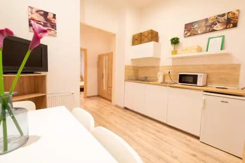 Standard Apartment by Hi5 - West End Center - photo 17