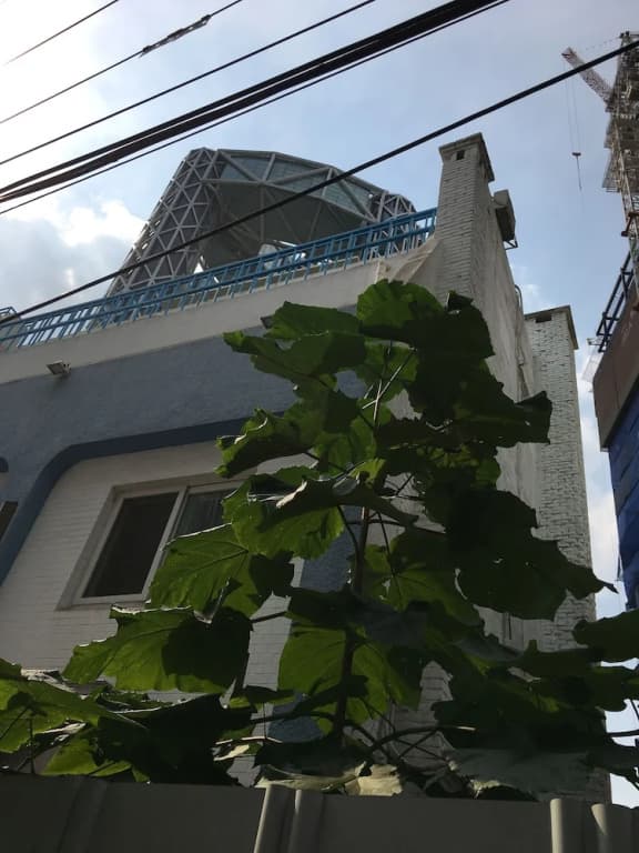 Bong Stay Insadong - photo 1