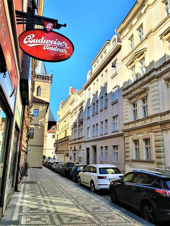 Reznicka Apartments - photo 15